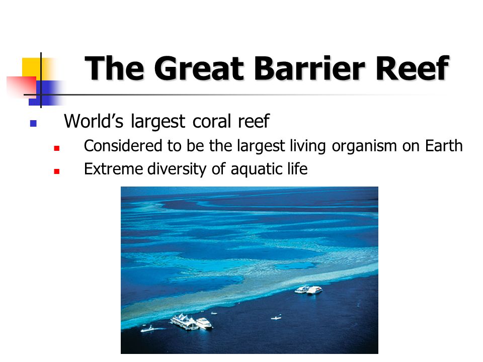 The Great Barrier Reef World’s largest coral reef Considered to be the largest living organism on Earth Extreme diversity of aquatic life