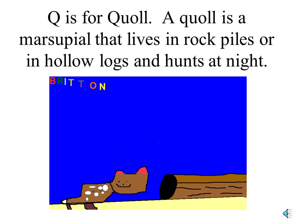 Q is for Quick. A kangaroo moves quickly with his huge hind legs.