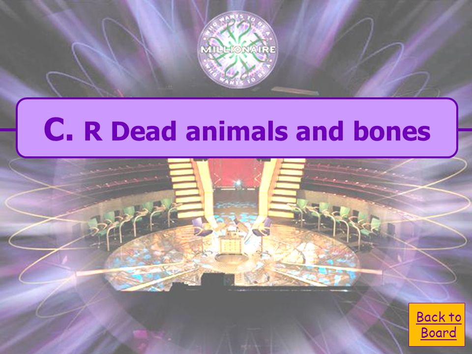  A.Dead animals and bones A.Dead animals and bones  C.