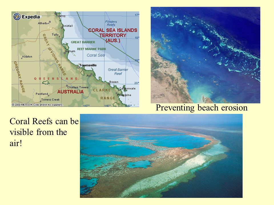 Coral Reefs can be visible from the air! Preventing beach erosion