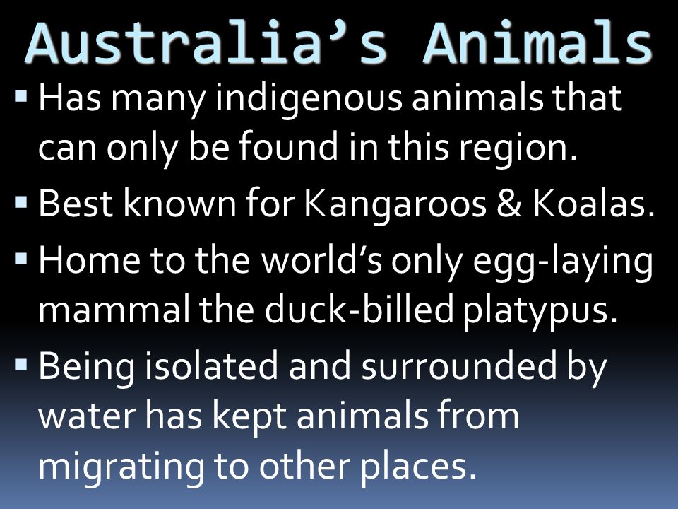 Australia’s Animals  Has many indigenous animals that can only be found in this region.