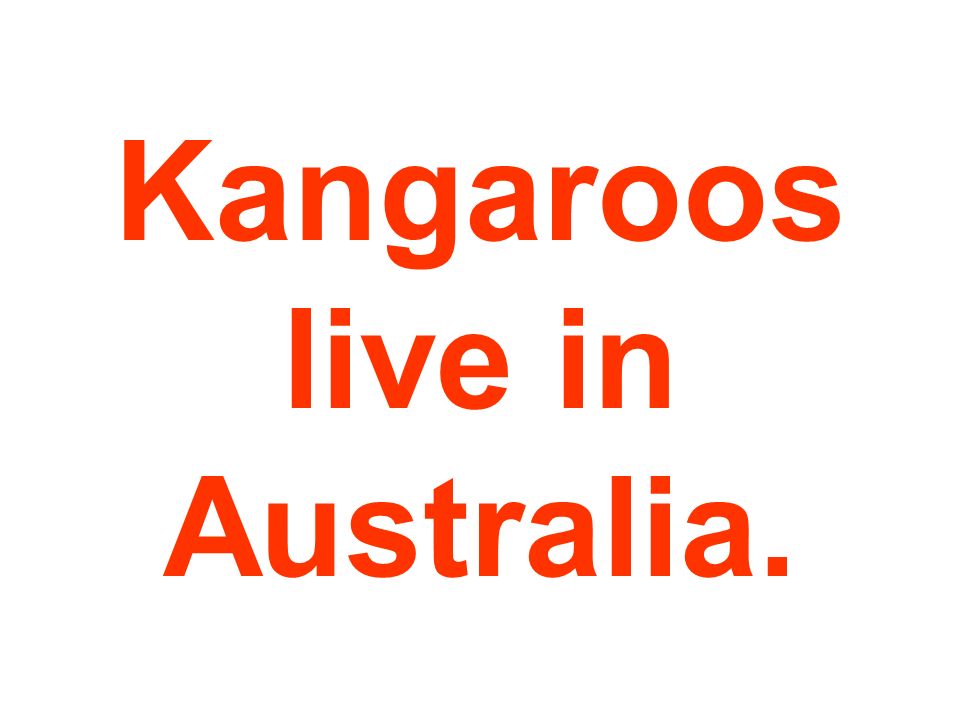 Kangaroos live in Australia.