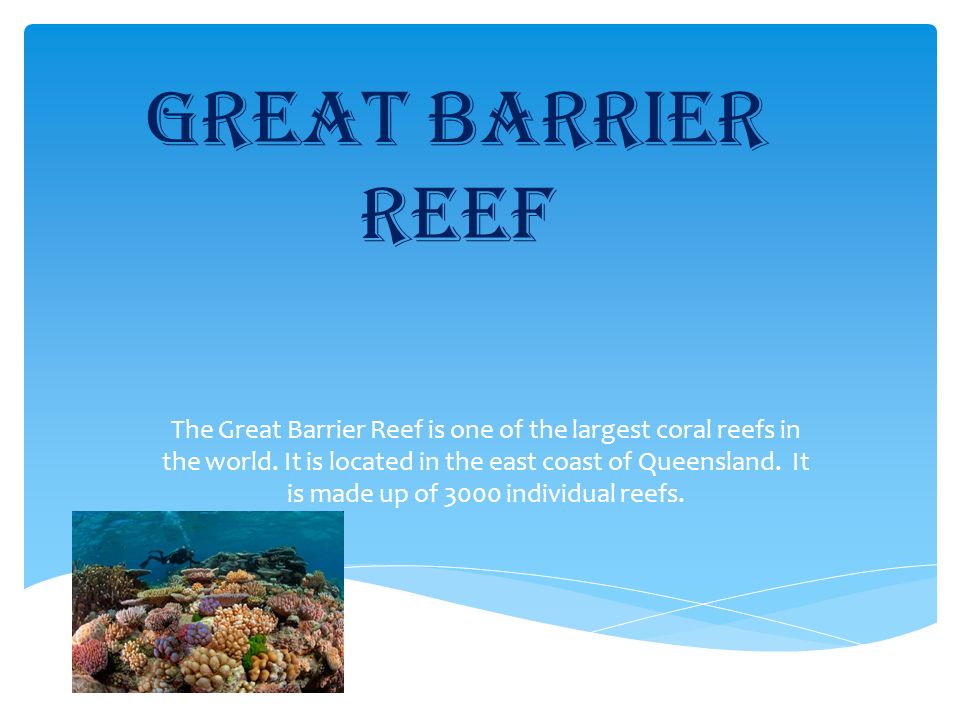 Great Barrier reef The Great Barrier Reef is one of the largest coral reefs in the world.