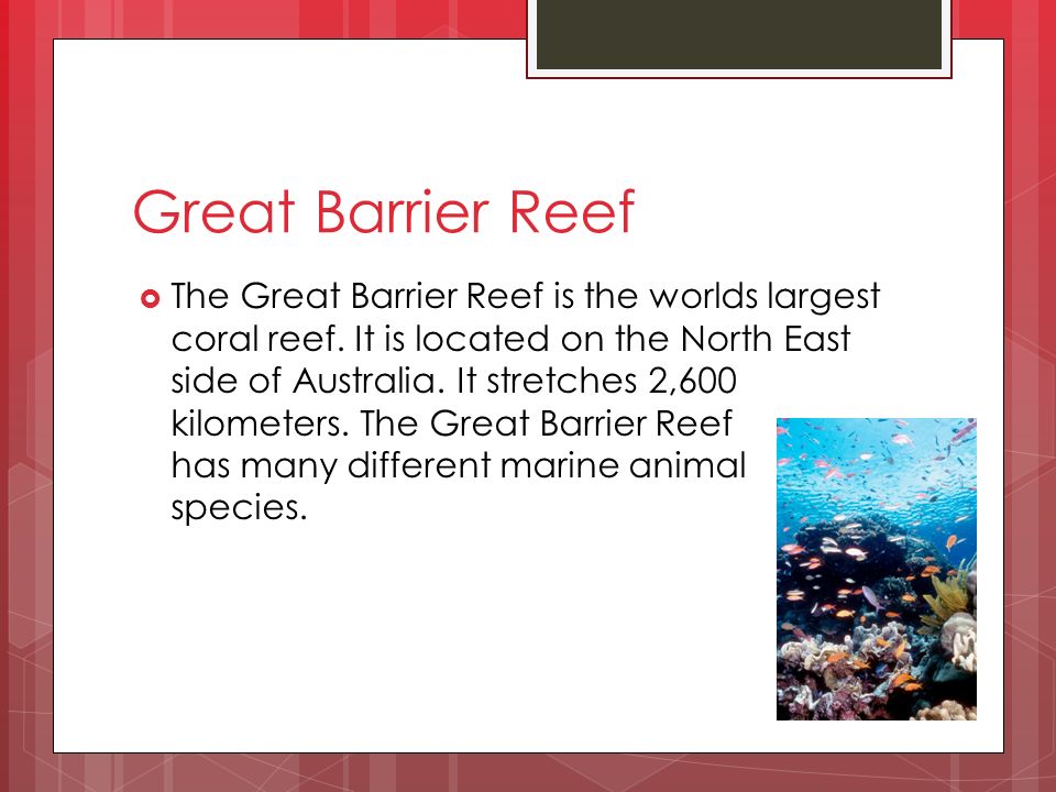 Great Barrier Reef  The Great Barrier Reef is the worlds largest coral reef.