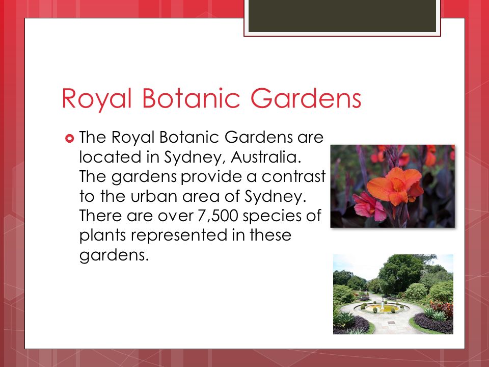 Royal Botanic Gardens  The Royal Botanic Gardens are located in Sydney, Australia.