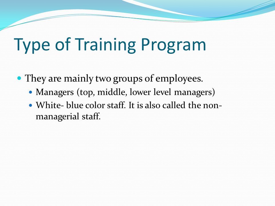 Type of Training Program They are mainly two groups of employees.