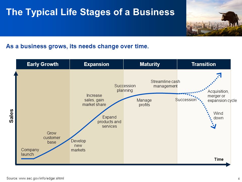 4 Early GrowthExpansionTransitionMaturity Time Sales The Typical Life Stages of a Business As a business grows, its needs change over time.