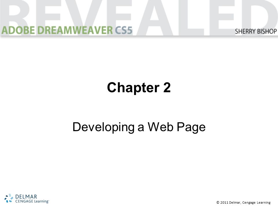 © 2011 Delmar, Cengage Learning Chapter 2 Developing a Web Page