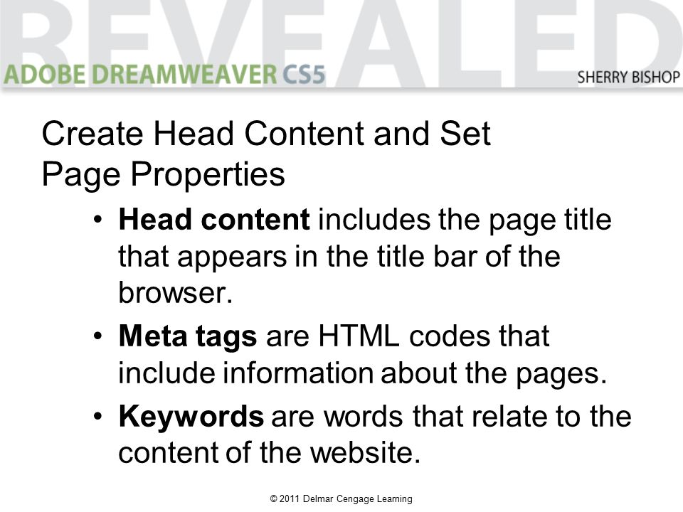 © 2011 Delmar Cengage Learning Head content includes the page title that appears in the title bar of the browser.