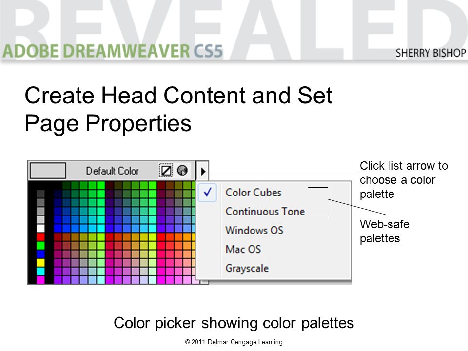© 2011 Delmar Cengage Learning Color picker showing color palettes Create Head Content and Set Page Properties Click list arrow to choose a color palette Web-safe palettes