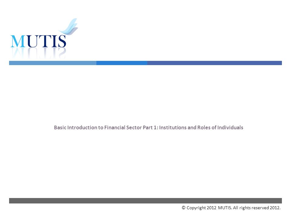  Basic Introduction to Financial Sector Part 1: Institutions and Roles of Individuals © Copyright 2012 MUTIS.