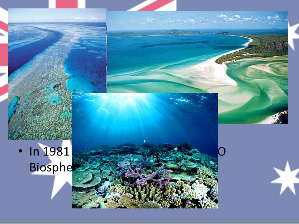 The largest system of coral reefs and islands on the Earth 2,000 km (can be seen from the space) Consists of about 3,000 coral reefs, islands, islets and lagoons In 1981 was included in the UNESCO Biosphere Reserve Great Barrier Reef