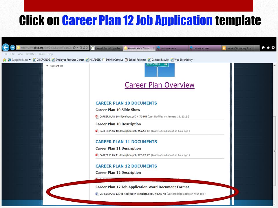 Click on Career Plan 12 Job Application template