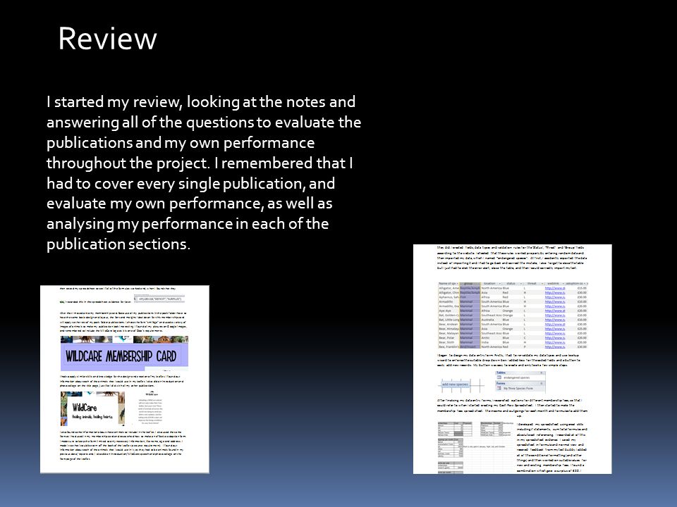 I started my review, looking at the notes and answering all of the questions to evaluate the publications and my own performance throughout the project.