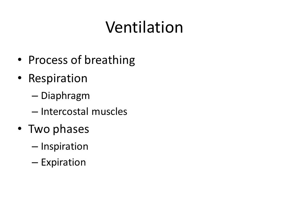 Ventilation Process of breathing Respiration – Diaphragm – Intercostal muscles Two phases – Inspiration – Expiration