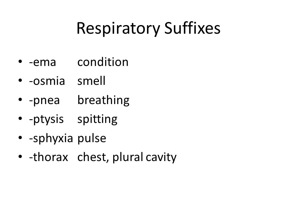 Respiratory Suffixes -emacondition -osmiasmell -pneabreathing -ptysisspitting -sphyxiapulse -thoraxchest, plural cavity