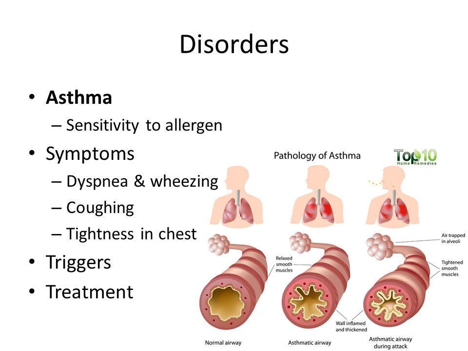 Disorders Asthma – Sensitivity to allergen Symptoms – Dyspnea & wheezing – Coughing – Tightness in chest Triggers Treatment
