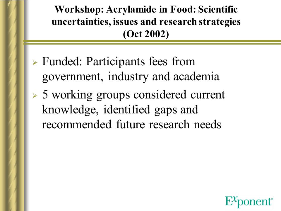Workshop: Acrylamide in Food: Scientific uncertainties, issues and research strategies (Oct 2002)  Funded: Participants fees from government, industry and academia  5 working groups considered current knowledge, identified gaps and recommended future research needs