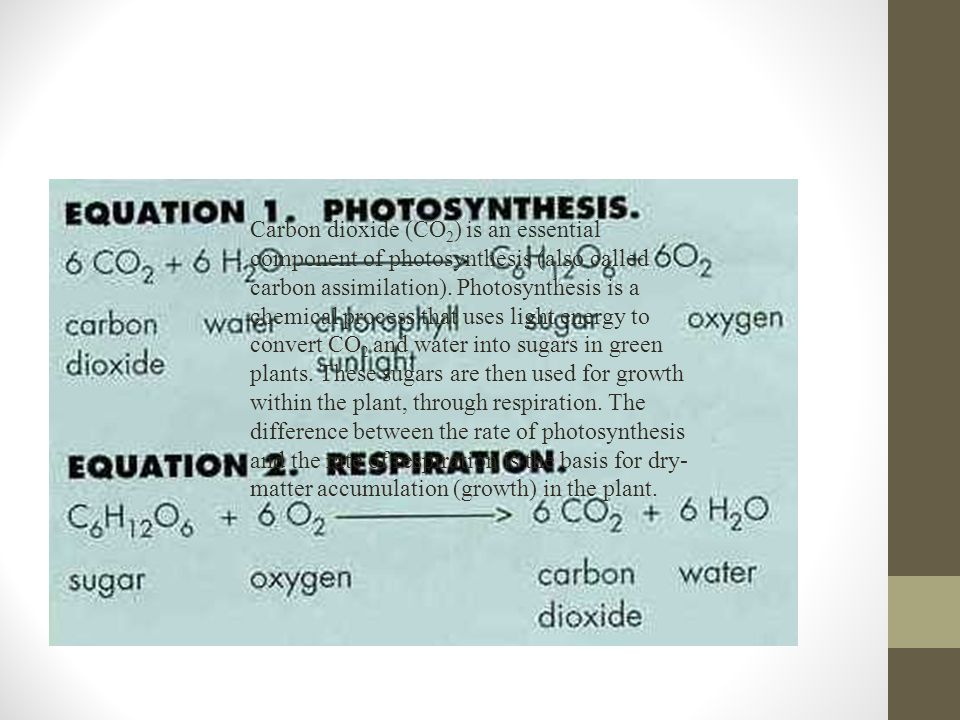 Carbon dioxide (CO 2 ) is an essential component of photosynthesis (also called carbon assimilation).