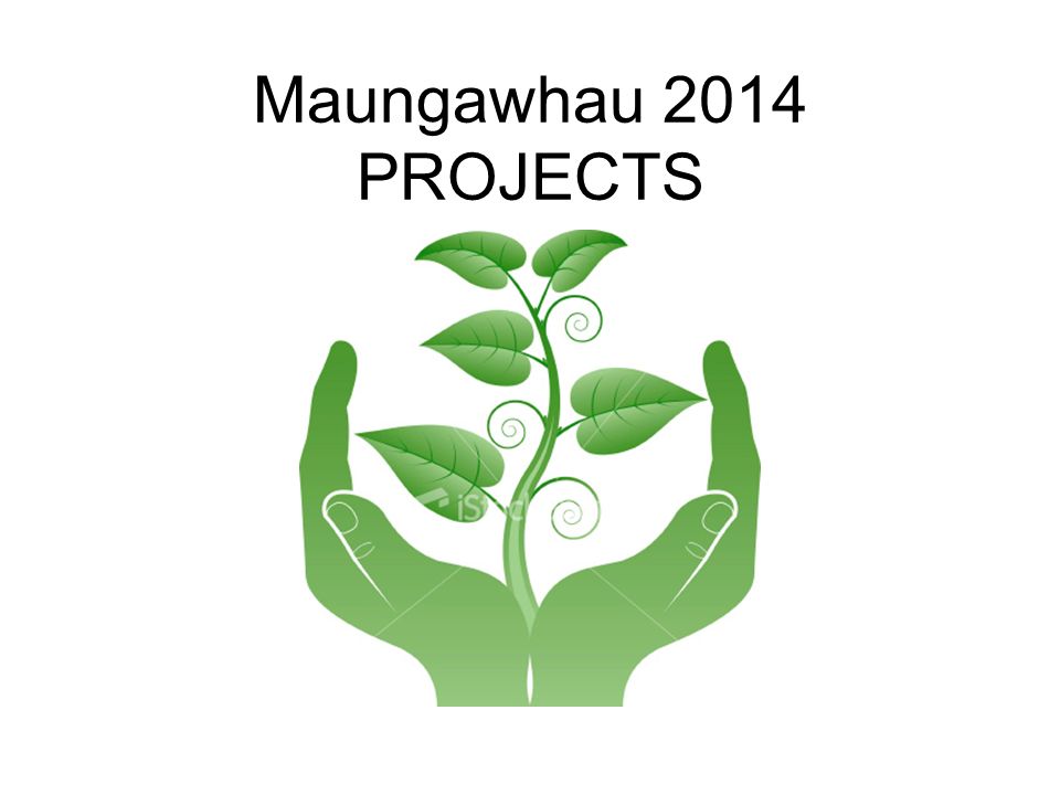 Maungawhau 2014 PROJECTS