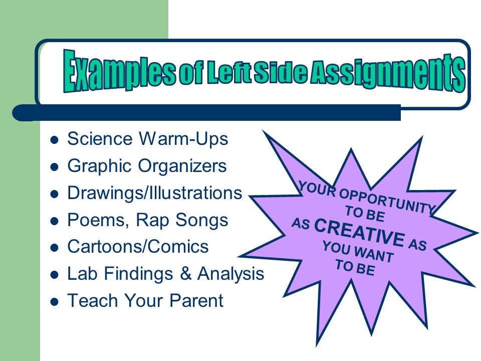 Science Warm-Ups Graphic Organizers Drawings/Illustrations Poems, Rap Songs Cartoons/Comics Lab Findings & Analysis Teach Your Parent YOUR OPPORTUNITY TO BE AS CREATIVE AS YOU WANT TO BE