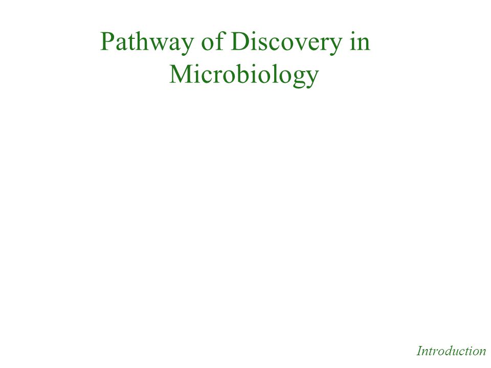 Pathway of Discovery in Microbiology Introduction