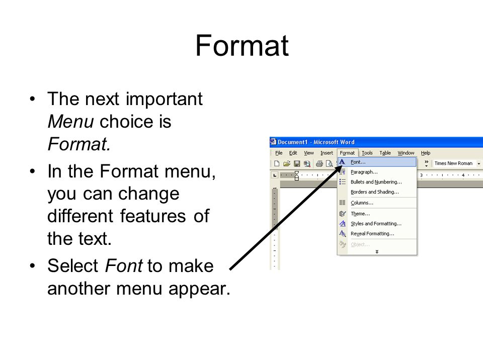 Format The next important Menu choice is Format.