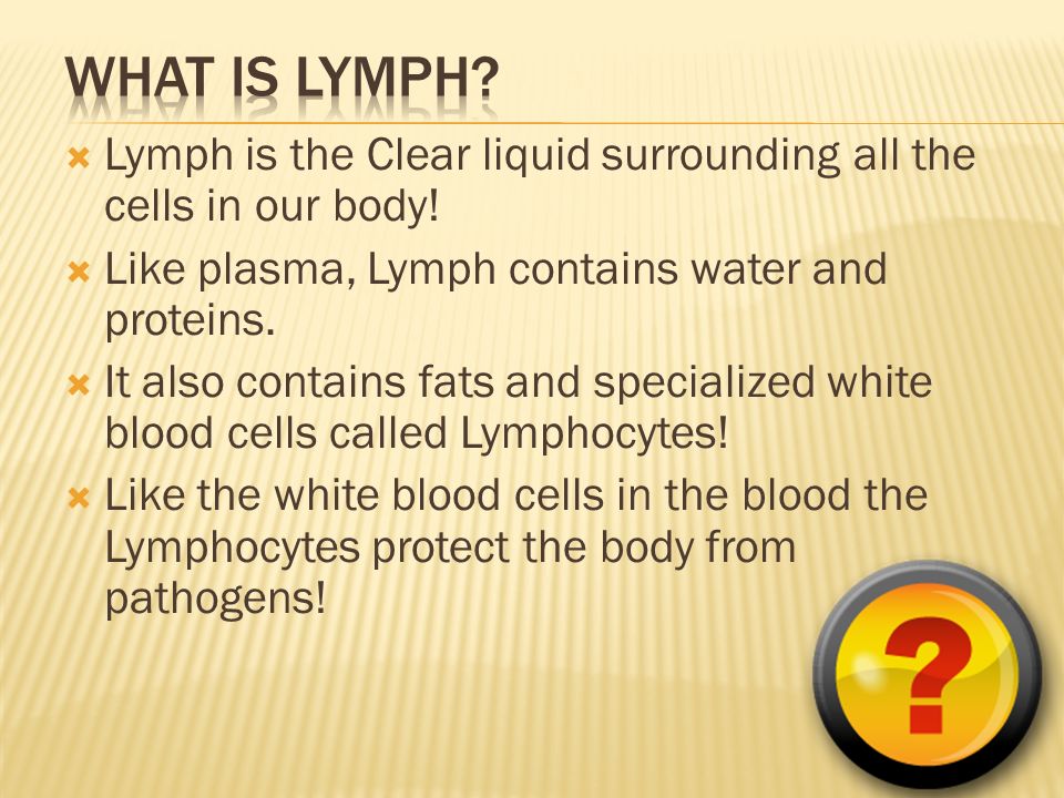  Lymph is the Clear liquid surrounding all the cells in our body.