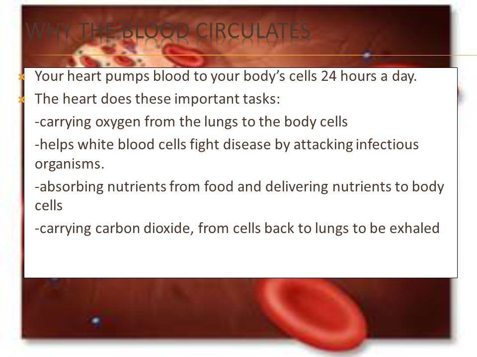  Your heart pumps blood to your body’s cells 24 hours a day.