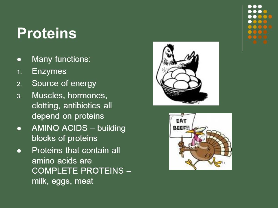 Proteins Many functions: 1. Enzymes 2. Source of energy 3.