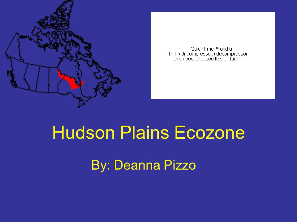 Hudson Plains Ecozone By: Deanna Pizzo