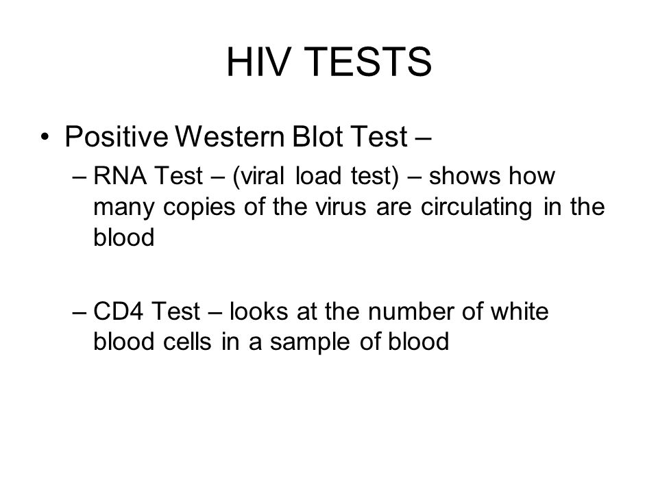 HIV TESTS Positive Western Blot Test – –RNA Test – (viral load test) – shows how many copies of the virus are circulating in the blood –CD4 Test – looks at the number of white blood cells in a sample of blood