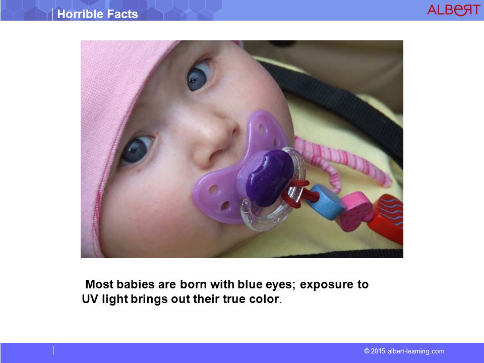 Horrible Facts © 2015 albert-learning.com Most babies are born with blue eyes; exposure to UV light brings out their true color.