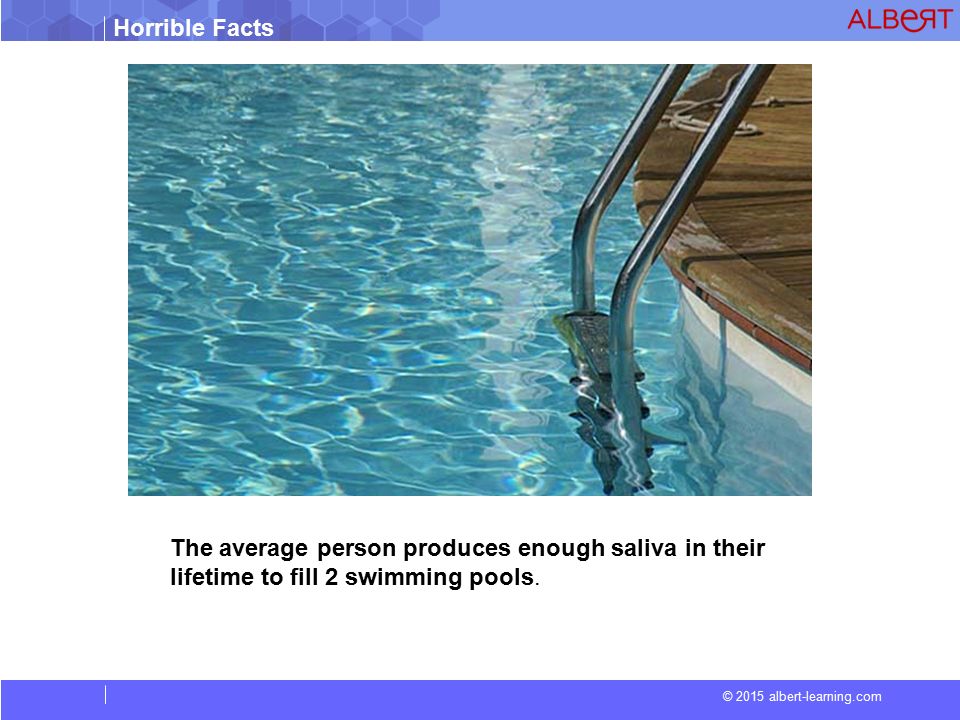 Horrible Facts © 2015 albert-learning.com The average person produces enough saliva in their lifetime to fill 2 swimming pools.