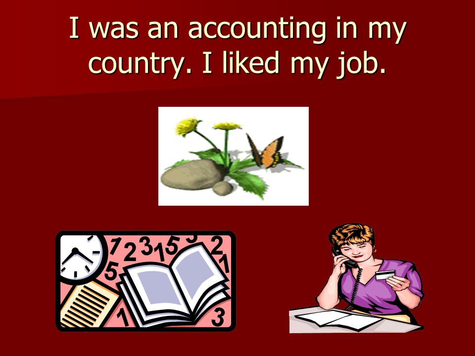 I was an accounting in my country. I liked my job.