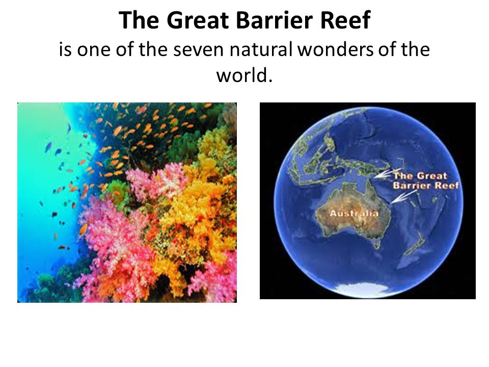 The Great Barrier Reef is one of the seven natural wonders of the world.