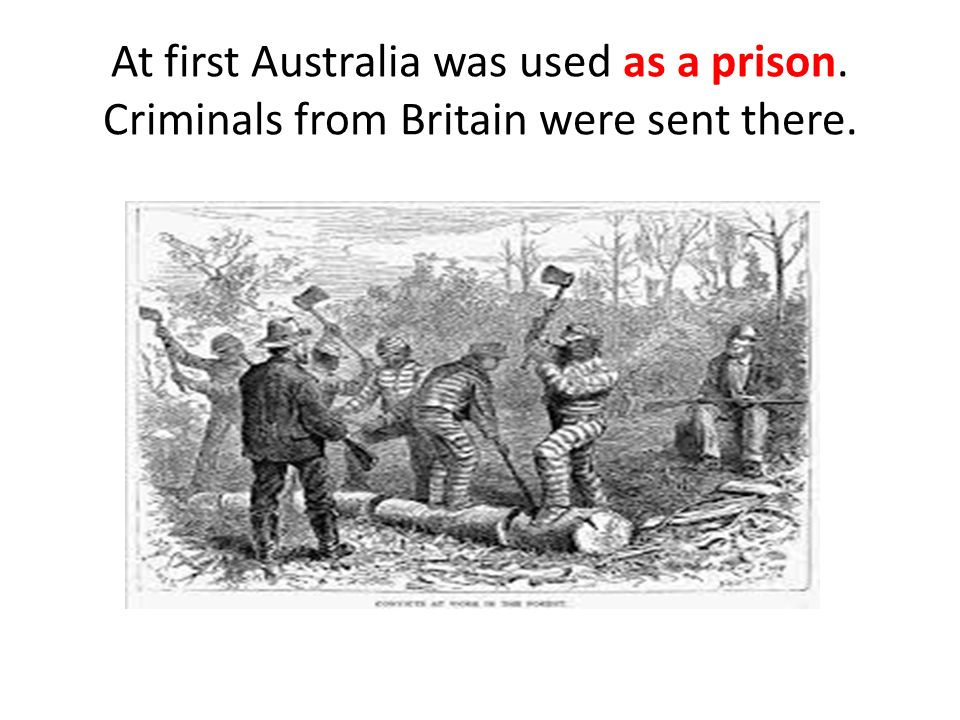 At first Australia was used as a prison. Criminals from Britain were sent there.