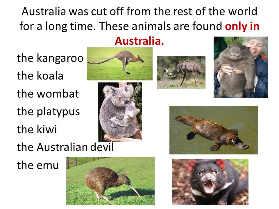 Australia was cut off from the rest of the world for a long time.