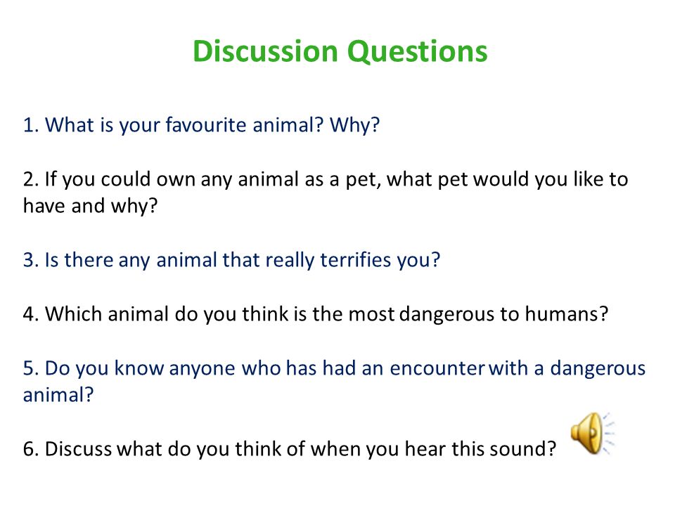 Discussion Questions 1. What is your favourite animal? Why? 2. If you could  own any animal as a pet, what pet would you like to have and why? 3. Is. -  ppt download