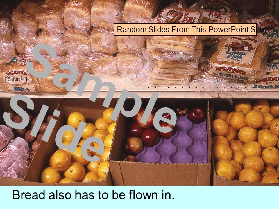 Bread also has to be flown in. Sample Slide Random Slides From This PowerPoint Show