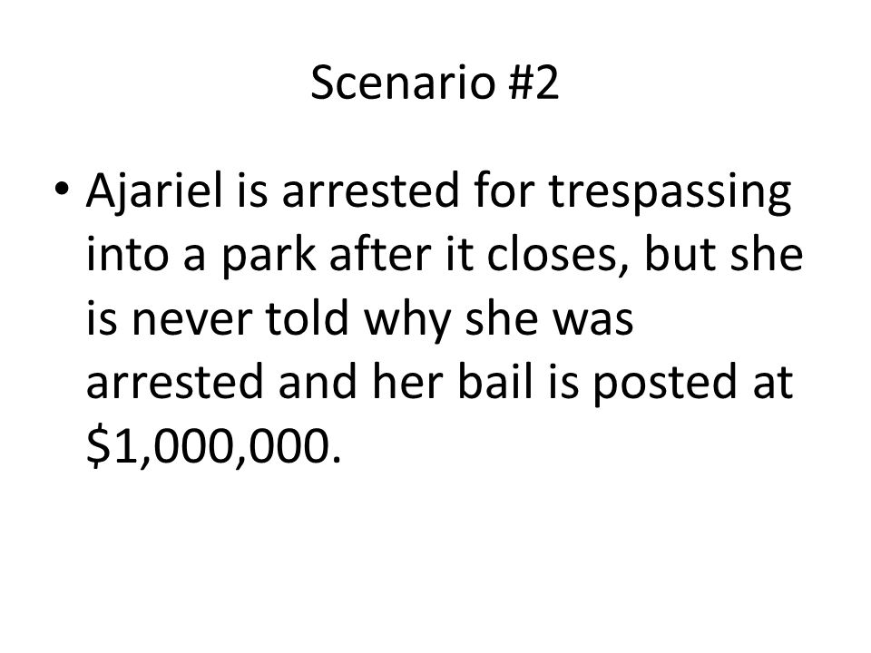 Scenario #2 Ajariel is arrested for trespassing into a park after it closes, but she is never told why she was arrested and her bail is posted at $1,000,000.