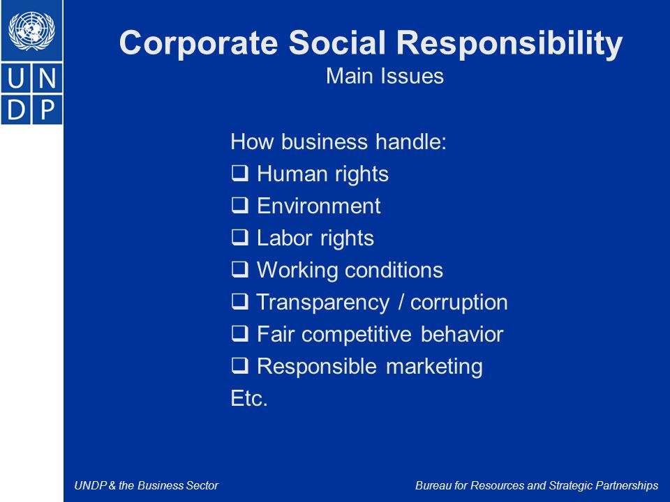 UNDP & the Business SectorBureau for Resources and Strategic Partnerships Corporate Social Responsibility Main Issues How business handle:  Human rights  Environment  Labor rights  Working conditions  Transparency / corruption  Fair competitive behavior  Responsible marketing Etc.