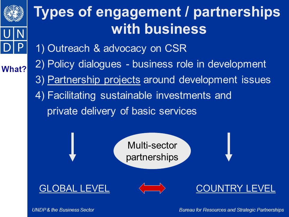 UNDP & the Business SectorBureau for Resources and Strategic Partnerships What.