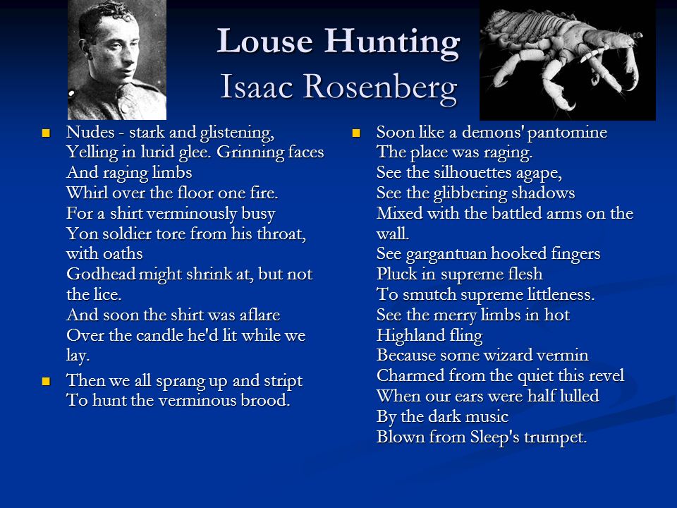 isaac rosenberg louse hunting