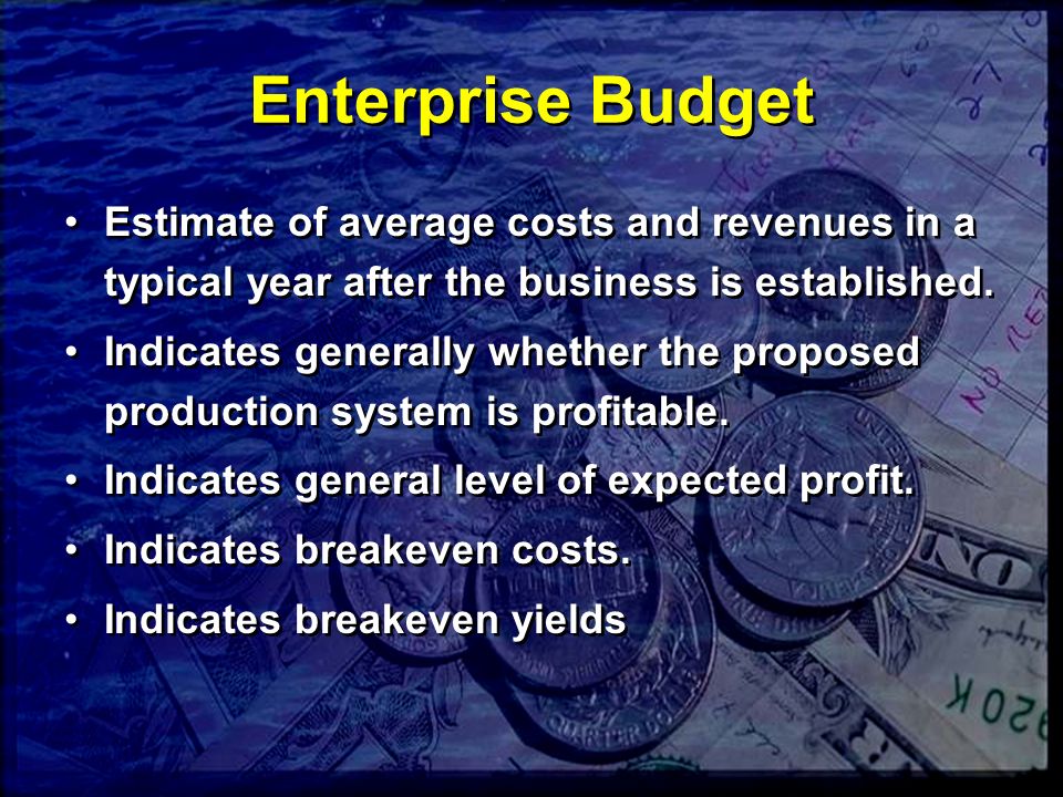Enterprise Budget Estimate of average costs and revenues in a typical year after the business is established.
