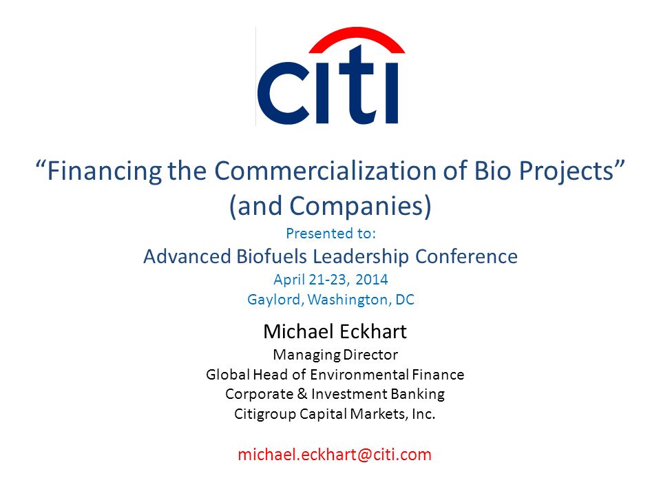 Michael Eckhart Managing Director Global Head of Environmental Finance Corporate & Investment Banking Citigroup Capital Markets, Inc.
