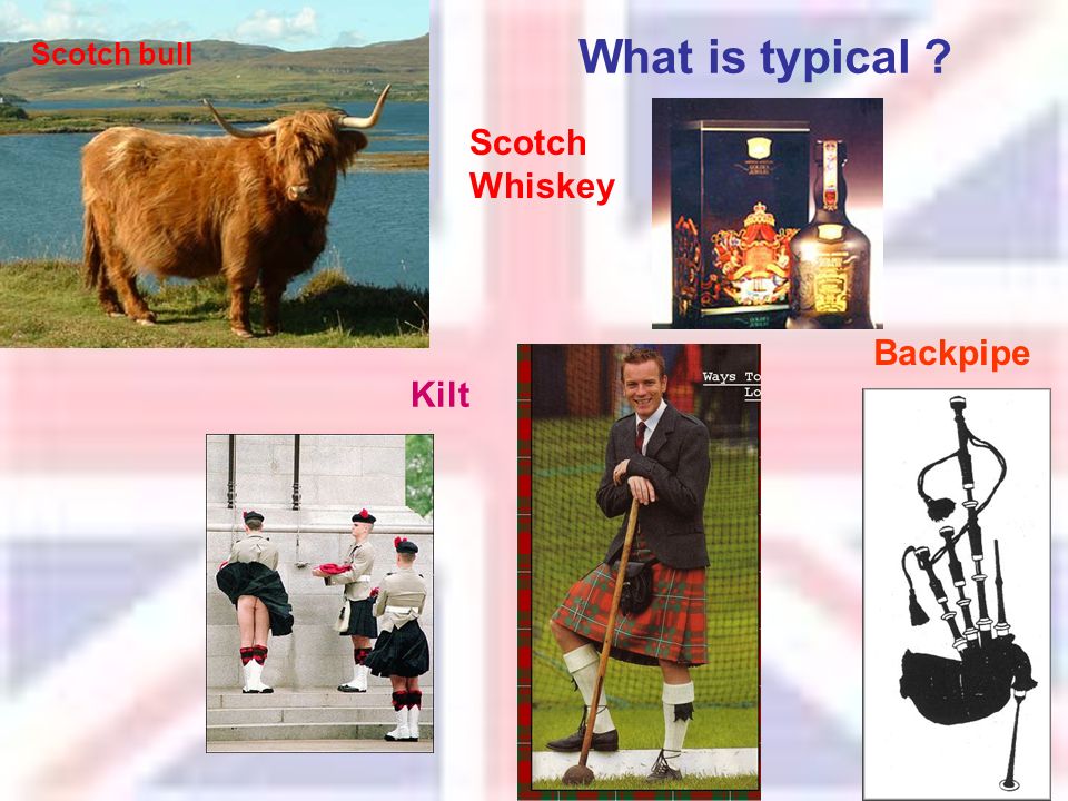 Backpipe What is typical Kilt Scotch Whiskey Scotch bull