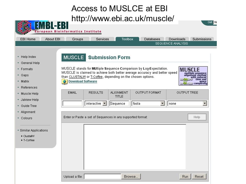 Access to MUSLCE at EBI