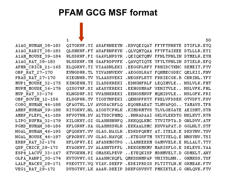 PFAM GCG MSF format