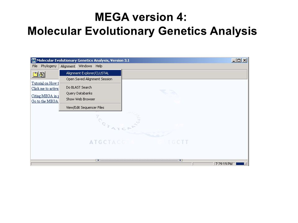MEGA version 4: Molecular Evolutionary Genetics Analysis